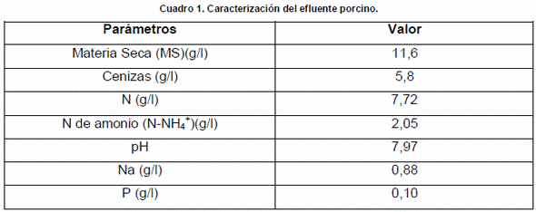 Efecto del efluente porcino como biofertilizante en el rendimiento del cultivo de maíz - Image 1