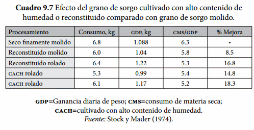 Procesamiento de los granos - Image 7