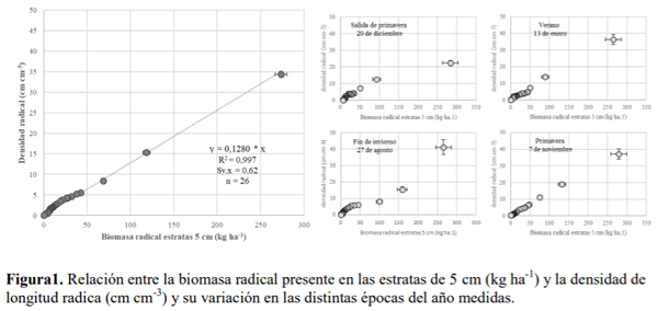 SOCHIPA - ESTIMACIÓN DE LA DENSIDAD RADICAL EN BALLICA BIANUAL (Lolium multiflorum Lam) A PARTIR DE LA BIOMASA RADICAL EN UN SUELO VOLCÁNICO - Image 1