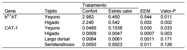 Efecto del estrés por calor en la digestión, absorción y metabolismo de aminoácidos en cerdos - Image 4