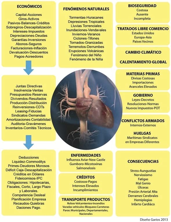 La Avicultura, una industria estresante - Image 1