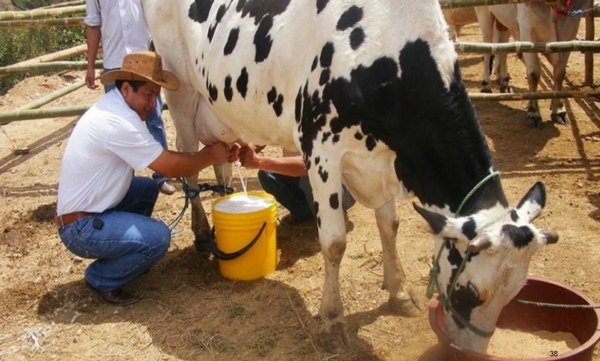 Mastitis - Introduccion, los factores que influyen en la salud de la ubre. - Image 26