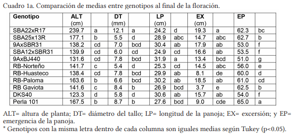 Descripción varietal de genotipos de sorgo elite con buena adaptación al noreste de México. - Image 1