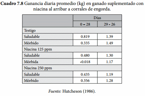 Programas de Recepción - Image 8