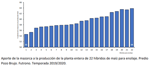 Manual del cultivo de maíz para ensilaje - Crecimiento y producción: Quinto Capítulo - Image 4
