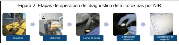 Gestión de micotoxinas a la velocidad de la luz - Image 2