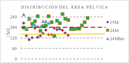 Figura 1. Área pélvica de vaquillas según su edad, y líneas consideradas como áreas mínimas, al año y a los 2 años consideradas fuera de riesgo de distocia.