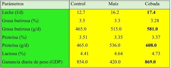 7° MITO ¿EL GRANO DE MAÍZ ES EL MEJOR DE TODOS? Similitudes y diferencias entre los granos de cereal. - Image 8