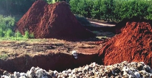 ¿Cómo manejar la utilización de los canales de animales muertos? - Image 1