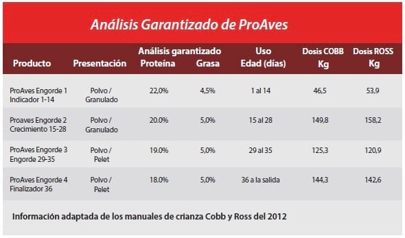 Conociendo la alimentación temprana de los pollitos - Image 1