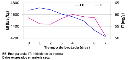 Soja brotada en la nutrición de aves: pautas y riesgos - Image 4