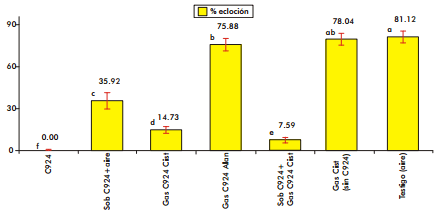 Aislamiento y determinación de cepas bacterianas con actividad nematicida. Mecanismo de acción de C. paurometabolum C-924 sobre nemátodos - Image 4
