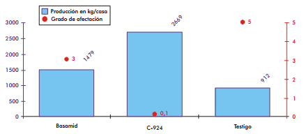 Aislamiento y determinación de cepas bacterianas con actividad nematicida. Mecanismo de acción de C. paurometabolum C-924 sobre nemátodos - Image 9