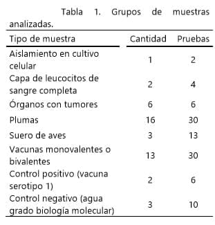 Deteccion del virus de la enfermedad de marek por RT-PCR - Image 1