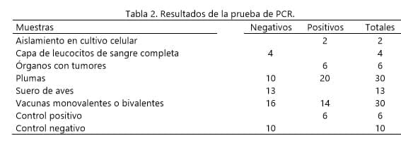 Deteccion del virus de la enfermedad de marek por RT-PCR - Image 2