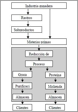 ¿Cómo sería el mundo sin el reciclaje de los subproductos de origen animal? - Image 1