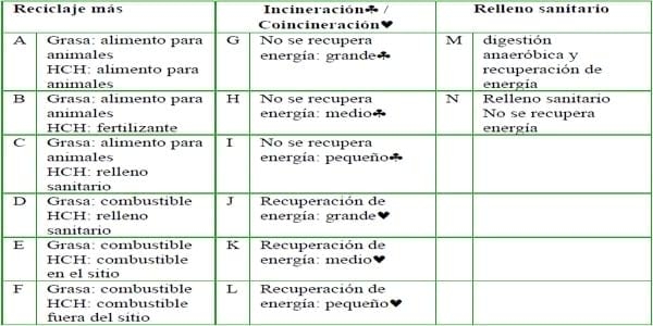 ¿Cómo sería el mundo sin el reciclaje de los subproductos de origen animal? - Image 11