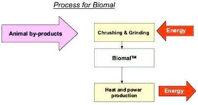¿Cómo sería el mundo sin el reciclaje de los subproductos de origen animal? - Image 7