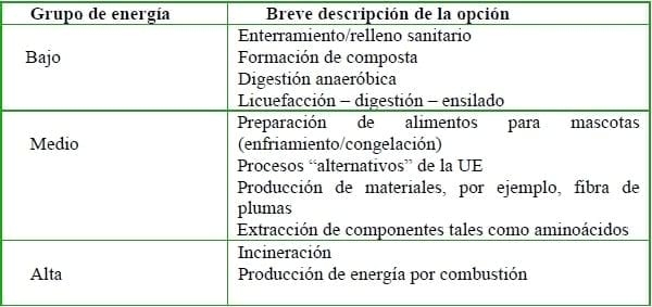 ¿Cómo sería el mundo sin el reciclaje de los subproductos de origen animal? - Image 4