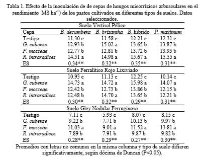 Manejo de la inoculación micorrízica arbuscular para el establecimiento, mantenimiento y recuperación de pastizales - Image 1