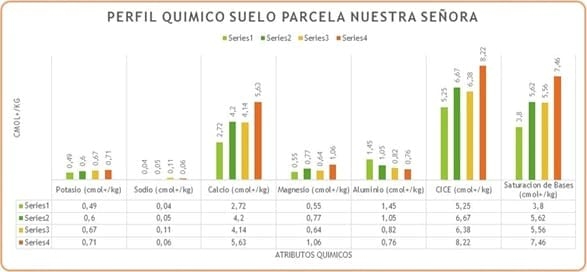 Respuesta de Un suelo Typic Palehumult (Ultisoles) serie Metrenco a la aplicación de Ácido Mono Silícico - Image 2