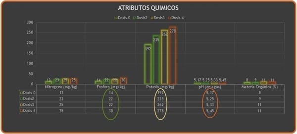 Respuesta de Un suelo Typic Palehumult (Ultisoles) serie Metrenco a la aplicación de Ácido Mono Silícico - Image 1