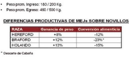Recría de bovinos de carne: consideraciones para su correcta implementación - Image 2