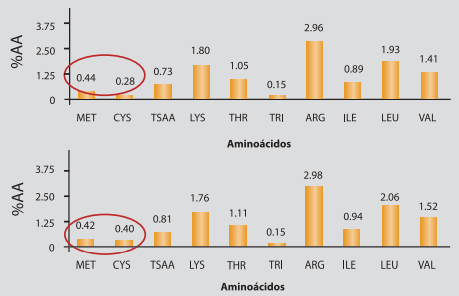 Control de la variabilidad de las materias primas - Image 4