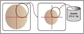 Conceptos de utilidad para lograr un correcto muestreo de suelos - Image 12