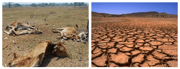 Importancia del pago por servicios ambientales, como alternativa inteligente para mitigar los efectos del cambio climático a la madre tierra - Image 1