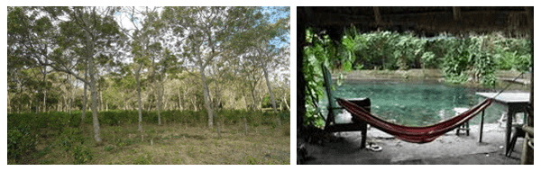 Importancia del pago por servicios ambientales, como alternativa inteligente para mitigar los efectos del cambio climático a la madre tierra - Image 3
