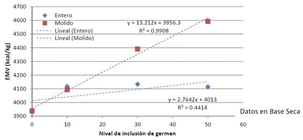 Contenido de energía metabolizable verdadera de germen de maíz - Image 4