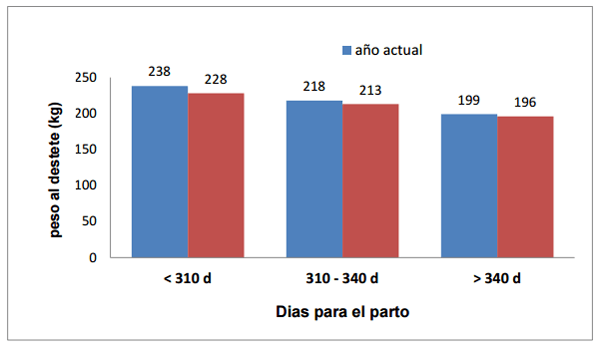 Efecto de días para el parto sobre el comportamiento productivo de vacas productoras de carne con empadre controlado - Image 5