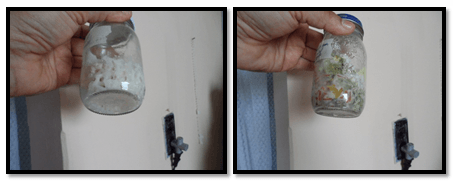 Evaluacion de la alternativa de multiplicacion artesanal del hongo beauveria bassiana, para el control de la broca (hypothenemus hampei) del café - Image 21