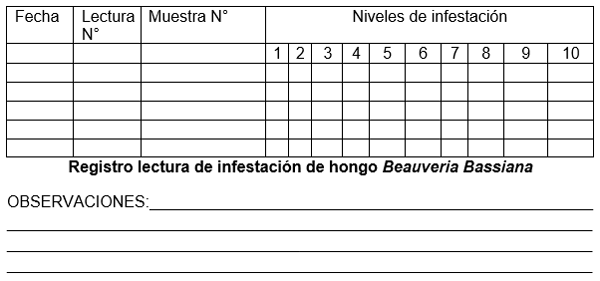 Evaluacion de la alternativa de multiplicacion artesanal del hongo beauveria bassiana, para el control de la broca (hypothenemus hampei) del café - Image 6