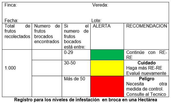 Evaluacion de la alternativa de multiplicacion artesanal del hongo beauveria bassiana, para el control de la broca (hypothenemus hampei) del café - Image 8