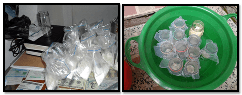 Evaluacion de la alternativa de multiplicacion artesanal del hongo beauveria bassiana, para el control de la broca (hypothenemus hampei) del café - Image 18