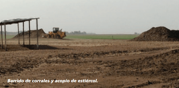 Transformar un residuo en un insumo valioso - Image 1