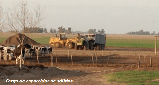 Transformar un residuo en un insumo valioso - Image 3