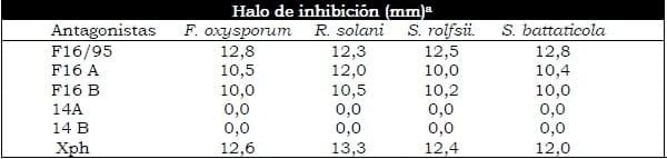 Selección de rizobacterias por su antagonismo frente a microorganismos patógenos de cucurbitáceas - Image 3