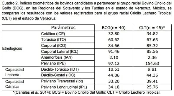 Evaluación morfométrica y zoométrica del bovino criollo del golfo - Image 3