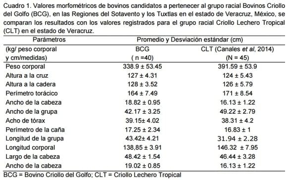 Evaluación morfométrica y zoométrica del bovino criollo del golfo - Image 2
