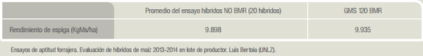Maíz BMR silaje de alta calidad que no depende sólo del grano - Image 8