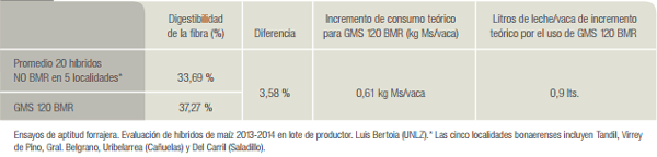 Maíz BMR silaje de alta calidad que no depende sólo del grano - Image 10