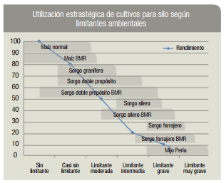 Maíz BMR silaje de alta calidad que no depende sólo del grano - Image 5