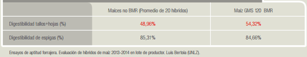 Maíz BMR silaje de alta calidad que no depende sólo del grano - Image 2