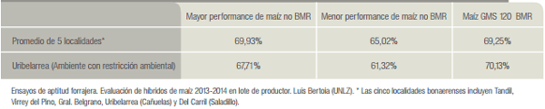 Maíz BMR silaje de alta calidad que no depende sólo del grano - Image 4