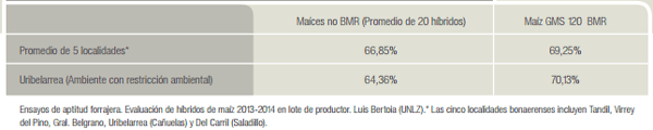 Maíz BMR silaje de alta calidad que no depende sólo del grano - Image 3