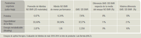 Maíz BMR silaje de alta calidad que no depende sólo del grano - Image 7