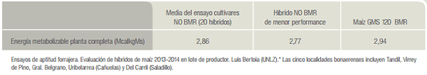 Maíz BMR silaje de alta calidad que no depende sólo del grano - Image 9
